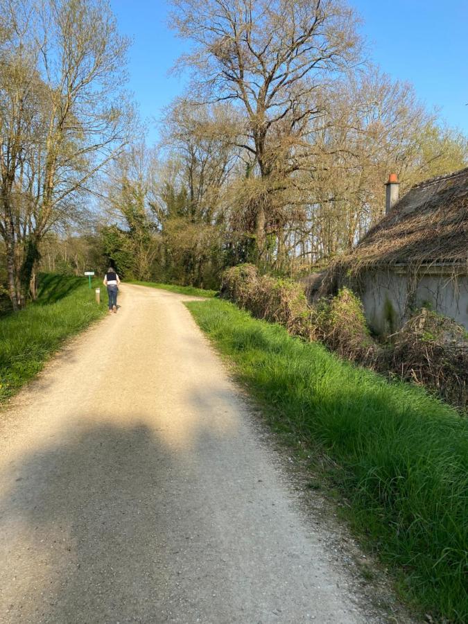 Studio Indre, La halte de Cuzé, aux abords de la Loire à vélo Huismes Exterior foto