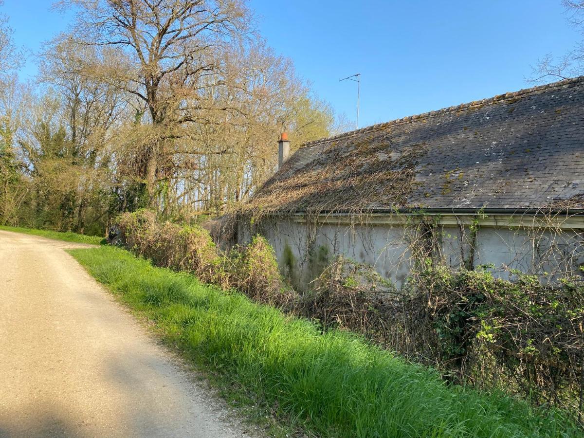 Studio Indre, La halte de Cuzé, aux abords de la Loire à vélo Huismes Exterior foto